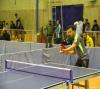 img_8306_t1.jpg