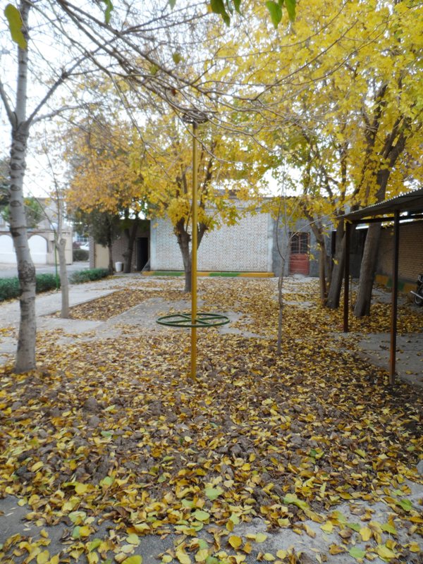 sam_0129.jpg